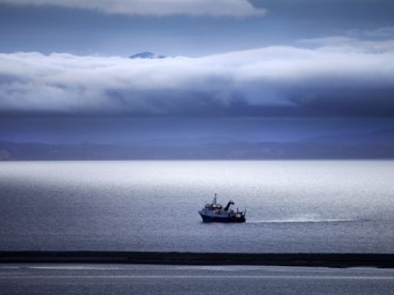 fishing boat headed out to see