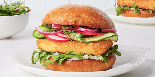 Gourmet fish burger with crumbed fillet, rocket, sliced cucumber, radish, pickled onion, and dill in a soft toasted bun.