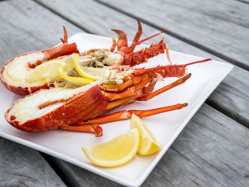 lobster on a white square plate with lemon wedges next to it placed on a wooden picnic table nz