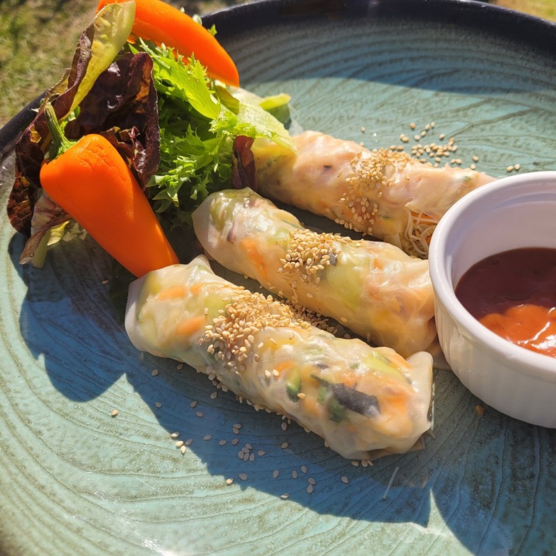 Plate of fresh Vietnamese-style rice paper rolls filled with vegetables, sprinkled with sesame seeds, served with a side salad and dipping sauce