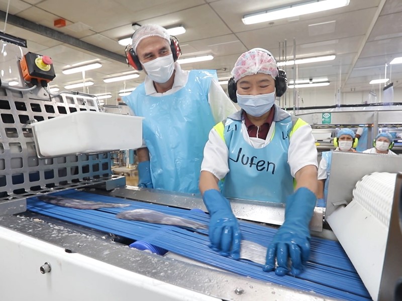 Sealord factory staff working on the convey belt wearing safety gear, headphones, mask and hair net