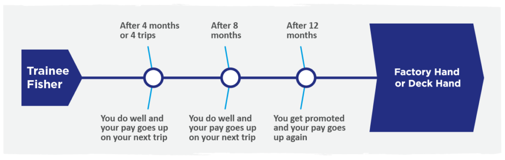Infographic showing the career progression of a Trainee Fisher. After 4 months or 4 trips, pay increases if performance is good. Another pay increase follows at 8 months. After 12 months, the individual is promoted and receives another pay rise, progressing to the role of Factory Hand or Deck Hand.