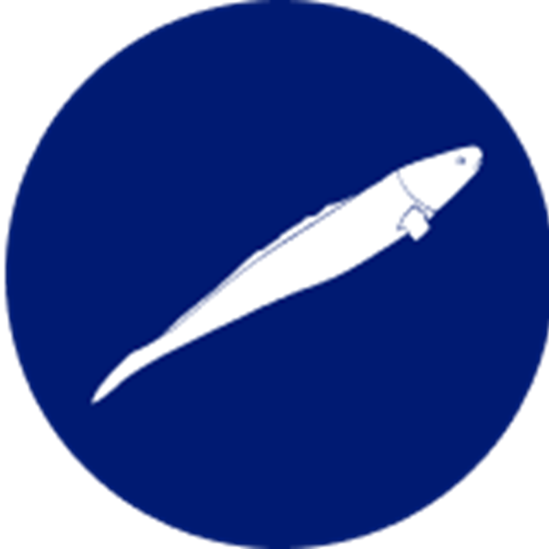 Ling species icon – stylised graphic representing Sealord’s sustainably harvested Ling fish.