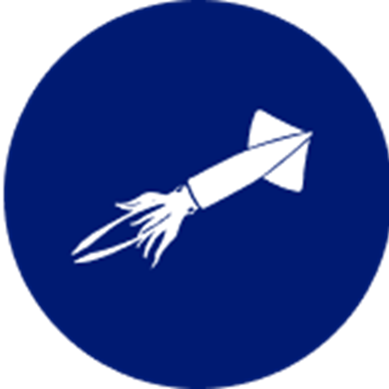 Squid species icon – stylised illustration representing Sealord’s sustainably harvested squid.