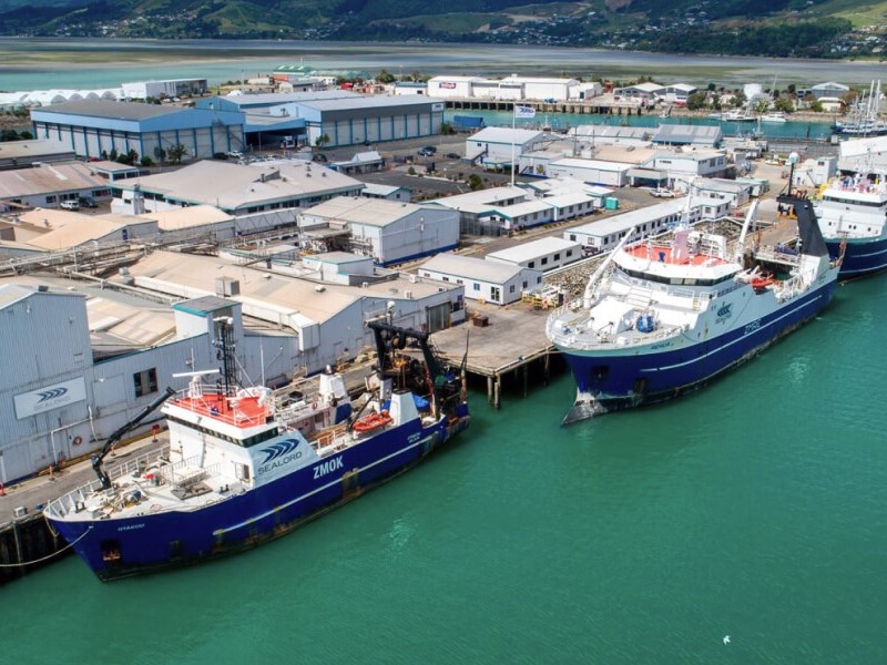 Sealord’s blue and white fishing vessels lined up dockside at the Sealord wharf.
