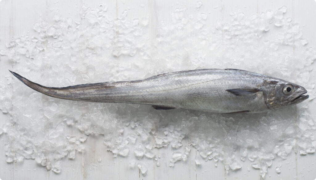 hoki whole, skin left on, lying on wood and ice cubes